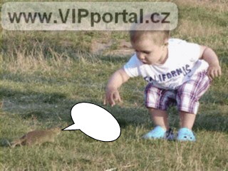 Malý kluk a sysel na Radouči vidí na zemi mrkev