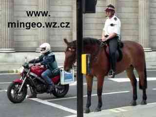 Policista na koni u semaforu